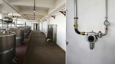2026行业优选｜固定式乙醇气体检测报警仪 制药车间防爆泄漏解决方案
